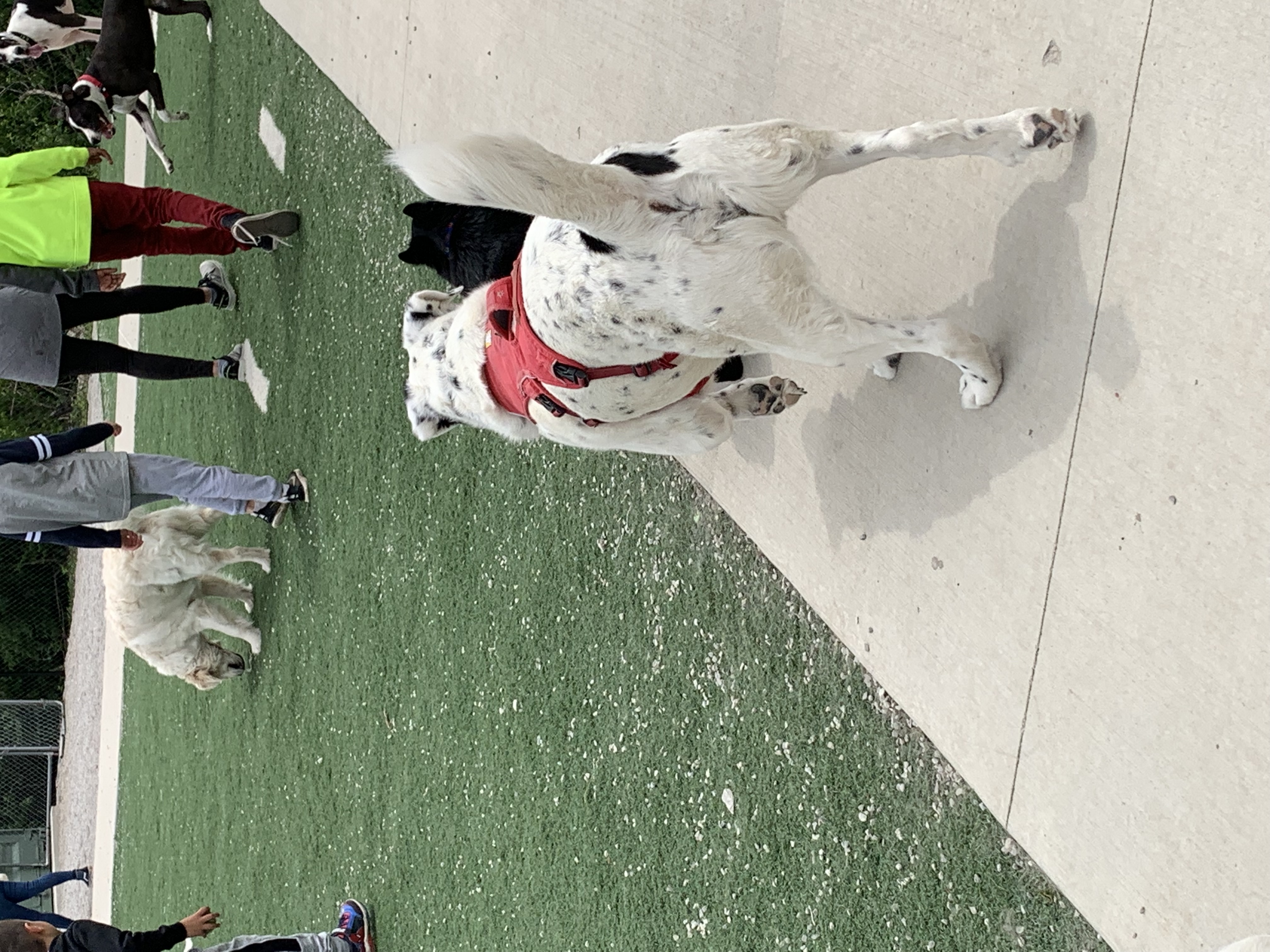 ./2022/06 - St Louis/02 - Day 2/20220522-123513214.JPG